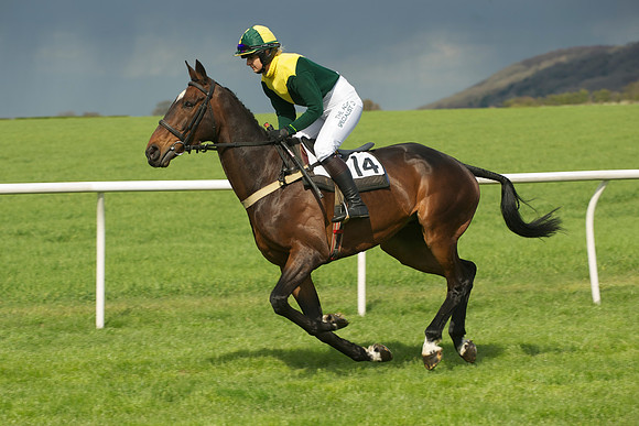 Novice Riders 17