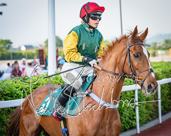Race 3 - The Junior Jumpers open hunter's steeple chase 3m1f56y (42 of 156)