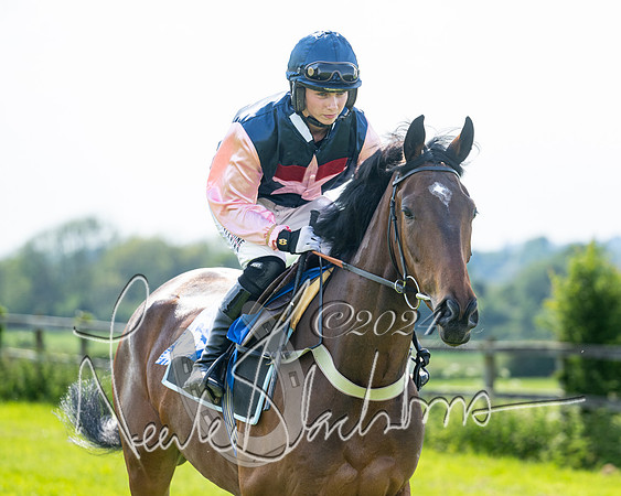 Race 5  - Maiden race 2m5F Div-1 (51 of 197)