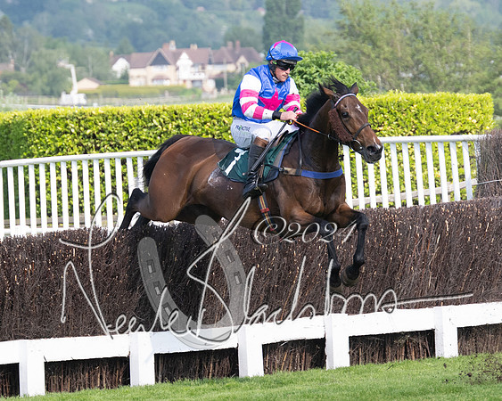 Race 1 - The Bottle Green Open Hunters steeplechase 2m62y (40 of 93)