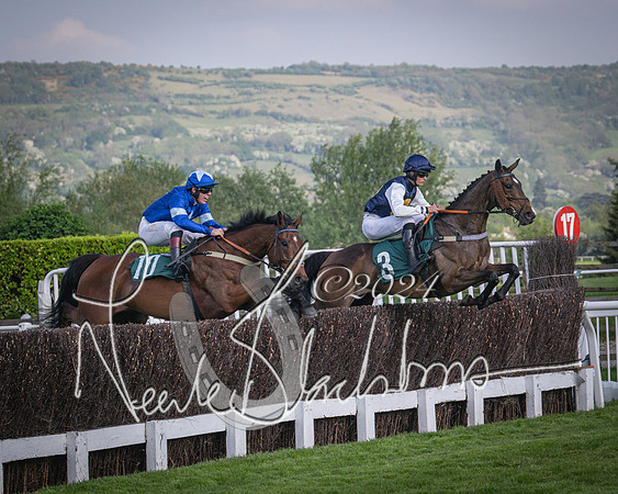 Race 2 - The Venatour sports travel intermediate point to point hunters’ steeplechase 5 year olds and over 3m2f (34 of 163)