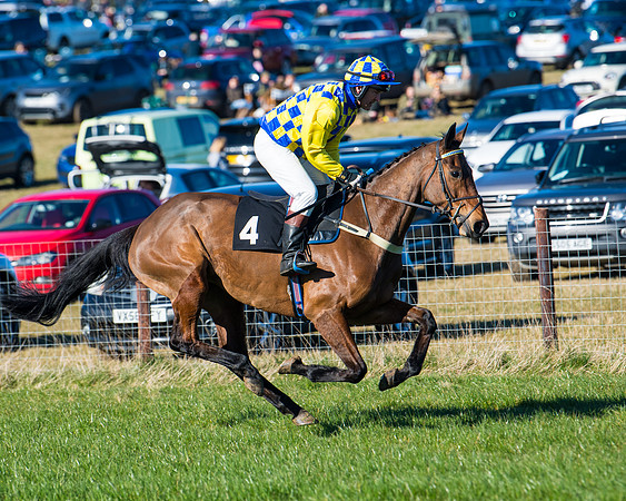 Race 5 - Novice riders (6 of 201)