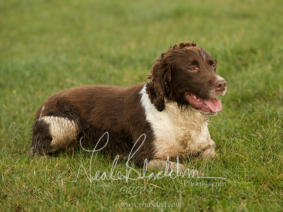 Tetsworth-Dec-08 8