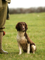 Tetsworth-Dec-08 13
