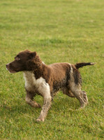 Tetsworth-Dec-08 19