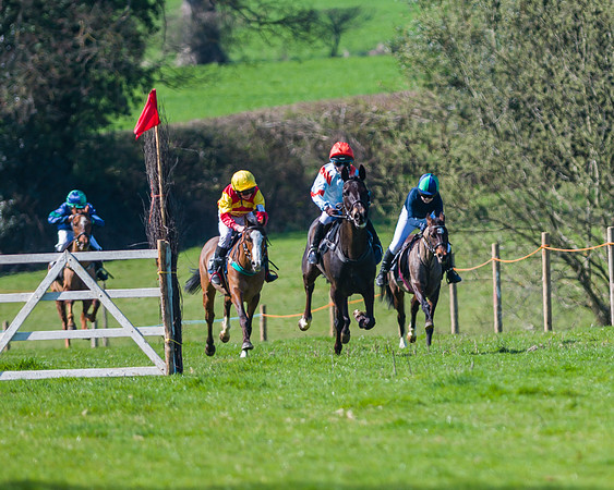 Pony Race 1 (1 of 17)
