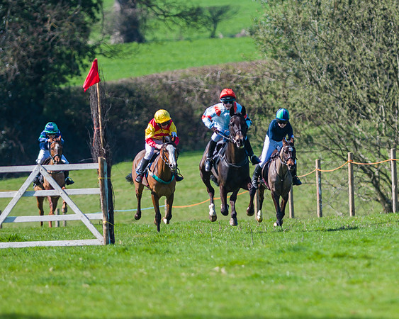 Pony Race 1 (2 of 17)