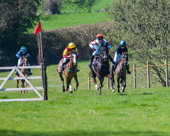 Pony Race 1 (3 of 17)