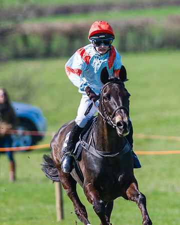 Pony Race 1 (7 of 17)