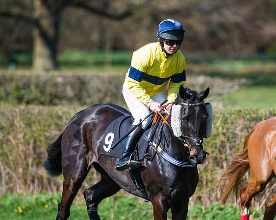 Race 2 - Restricted (7 of 60)