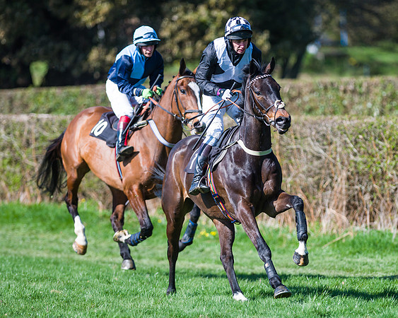 Race 2 - Restricted (11 of 60)