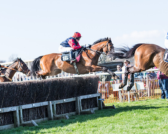 Race 3 - Ladies Open (92 of 163)