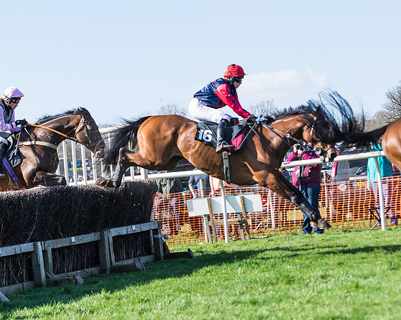 Race 3 - Ladies Open (94 of 163)