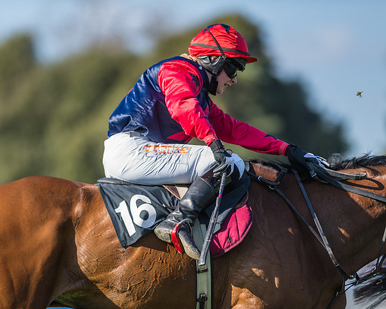 Race 3 - Ladies Open (144 of 163)