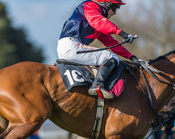 Race 3 - Ladies Open (145 of 163)