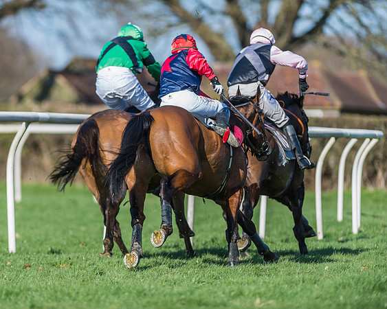Race 3 - Ladies Open (148 of 163)