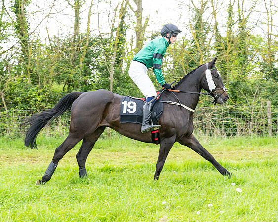 Race 2 - 2M4F Conditions (31 of 195)