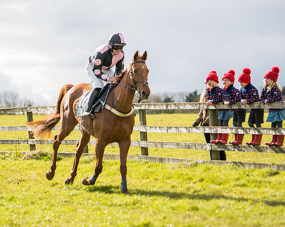 Race 5 - Restricted  (10 of 118)