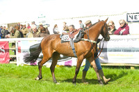 Race 2 - Open Maiden  7