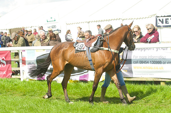 Race 2 - Open Maiden  7