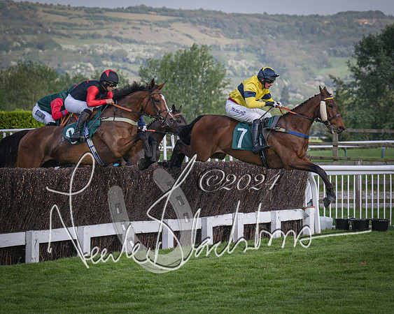 Race 2 - The Venatour sports travel intermediate point to point hunters’ steeplechase 5 year olds and over 3m2f (44 of 163)