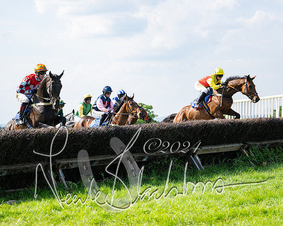 Race 5  - Maiden race 2m5F Div-1 (122 of 197)