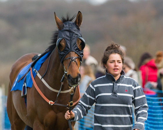 Race 1 - Confined (4 of 77)