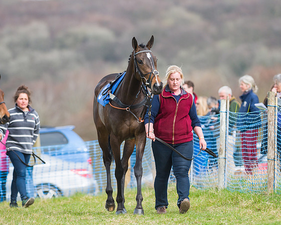 Race 3 - 4,5,6 Yr old Maiden (19 of 84)