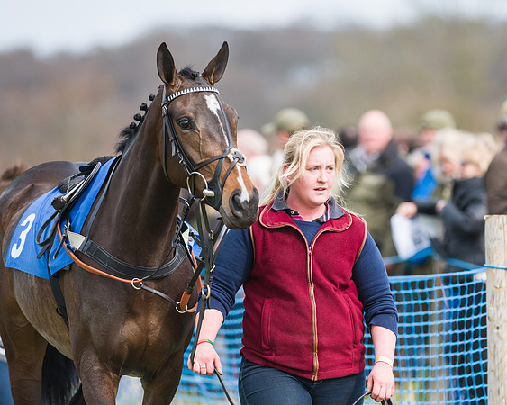 Race 3 - 4,5,6 Yr old Maiden (22 of 84)