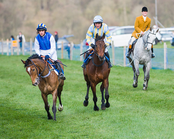 Race 6 - Open Maiden (10 of 64)