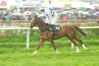 Old Berks at Lockinge PPORA novice and veteran riders race