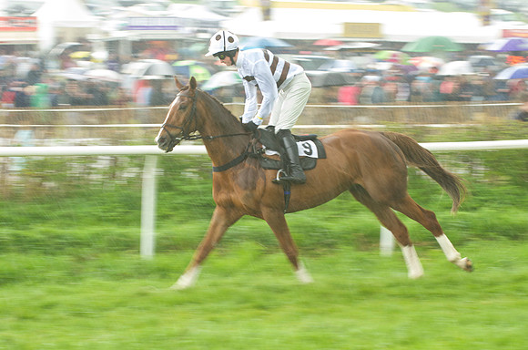 Old Berks at Lockinge PPORA novice and veteran riders race