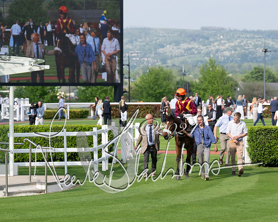 Race 1 - The Bottle Green Open Hunters steeplechase 2m62y (70 of 93)