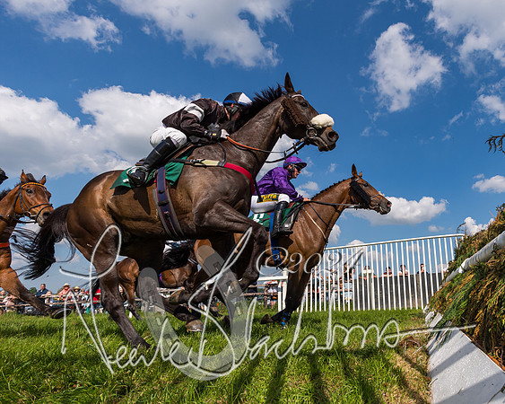 Race 4 - PPORA Novice Riders Final  (218 of 362)