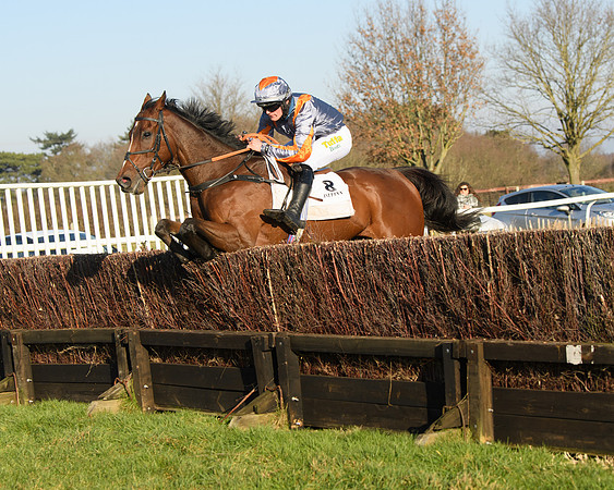 Race 2 - PPORA Novice Riders  (196 of 205)