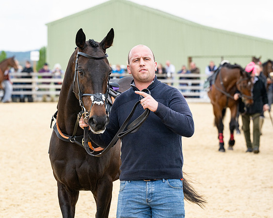 Race 2 - 2M4F Conditions (26 of 195)