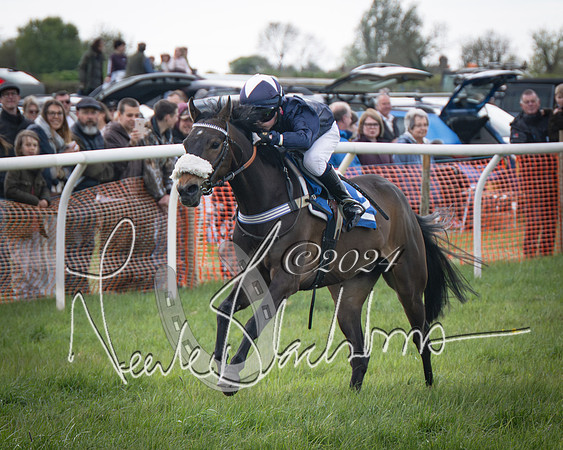 Pony Race 2 (75 of 84)-