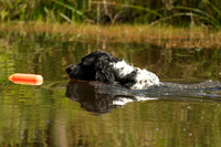 WCGB-04AUG-2013 Water Training Day  9
