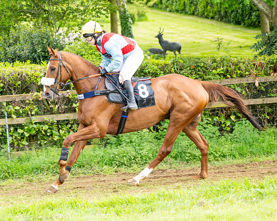 Race 5  - Novice riders (16 of 188)