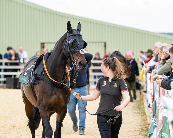 Race 2 - 2M4F Conditions (24 of 195)