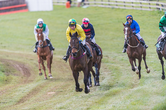 Race 3 - Ladies Open (3 of 79)