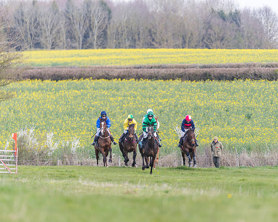 Race 3 - Ladies Open (12 of 79)