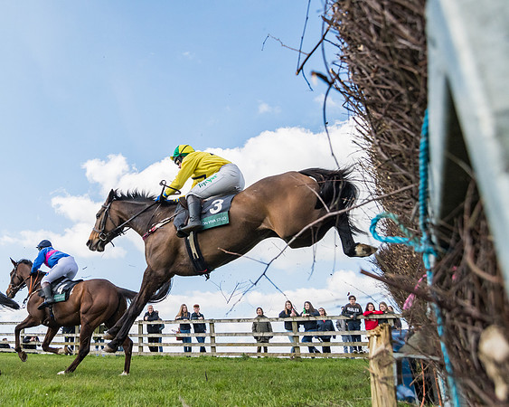 Race 3 - Ladies Open (35 of 79)