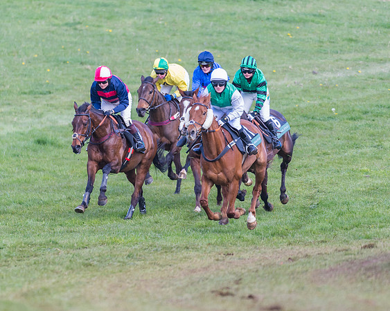 Race 3 - Ladies Open (36 of 79)