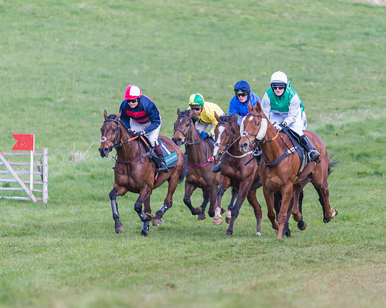 Race 3 - Ladies Open (37 of 79)