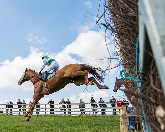 Race 3 - Ladies Open (40 of 79)