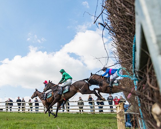 Race 3 - Ladies Open (42 of 79)