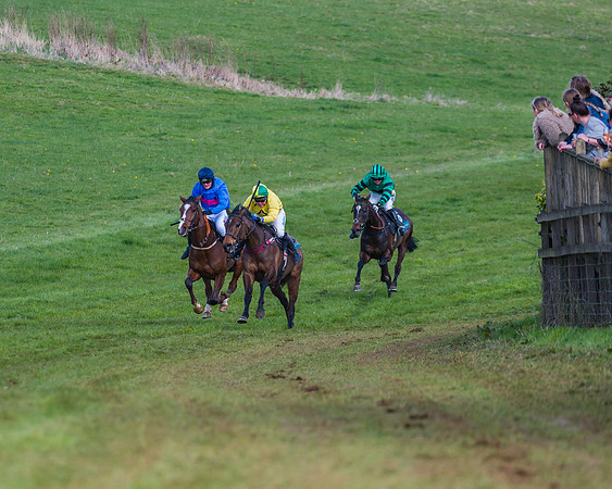 Race 3 - Ladies Open (45 of 79)