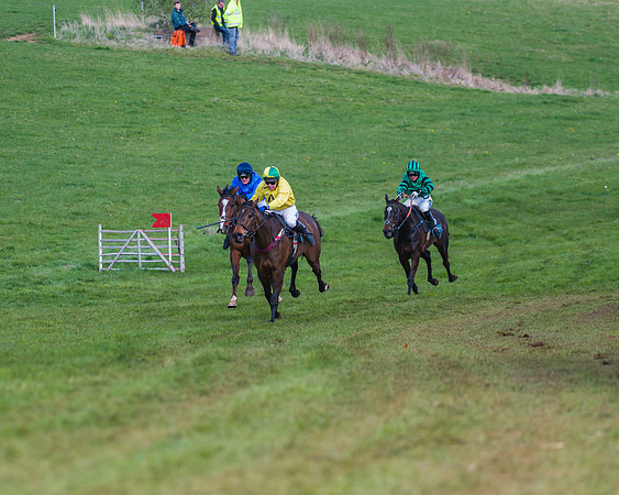 Race 3 - Ladies Open (47 of 79)