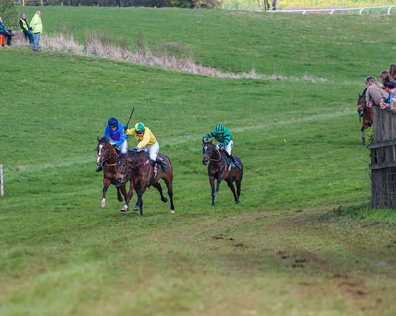 Race 3 - Ladies Open (46 of 79)
